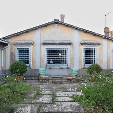 Cicas * Manziana