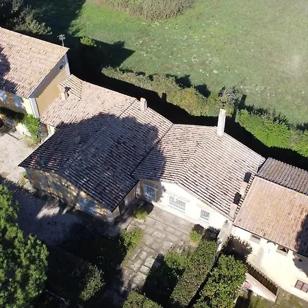 Cicas * Manziana