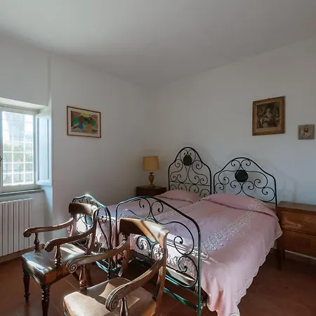 Cicas * Manziana
